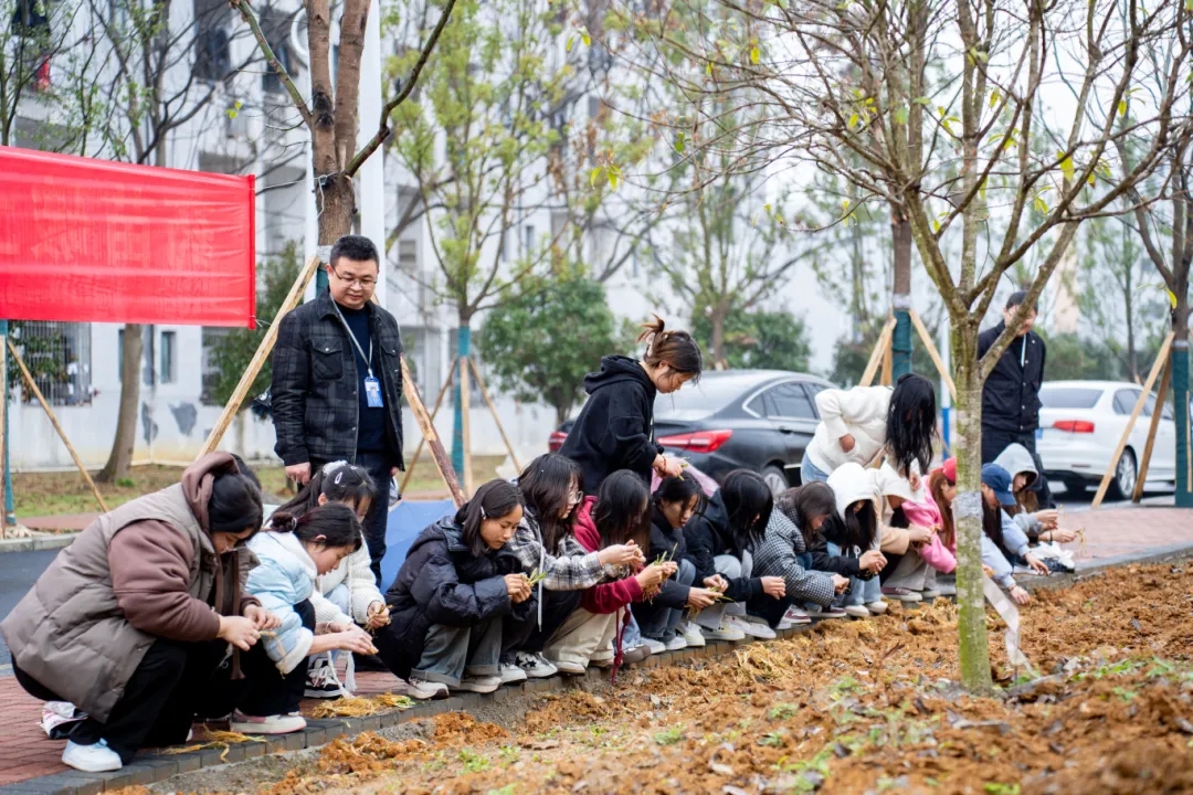 10-2503130T343N9.jpg