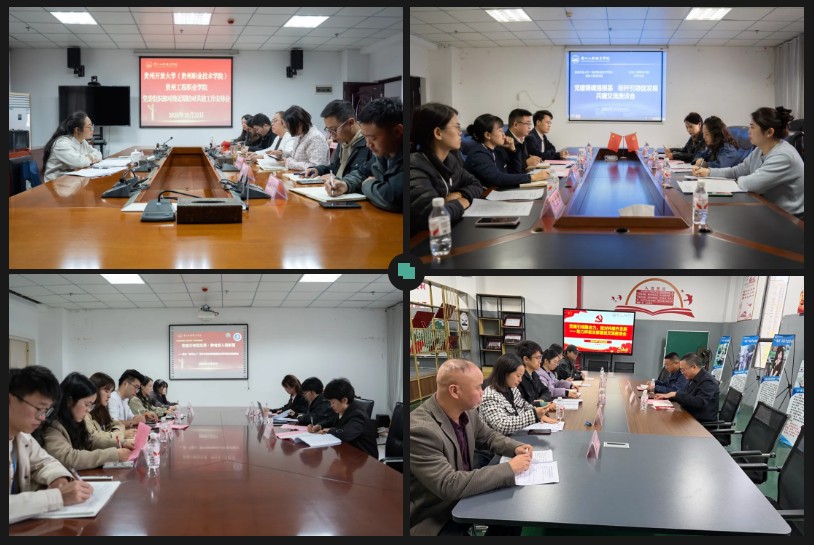 贵州开放大学(贵州职业技术学院)与kaiyun登录中国入口登录开展党建工作结对共建调研座谈(图3) 贵州开放大学(贵州职业技术学院)与kaiyun登录中国入口登录开展党建工作结对共建调研座谈(图3)